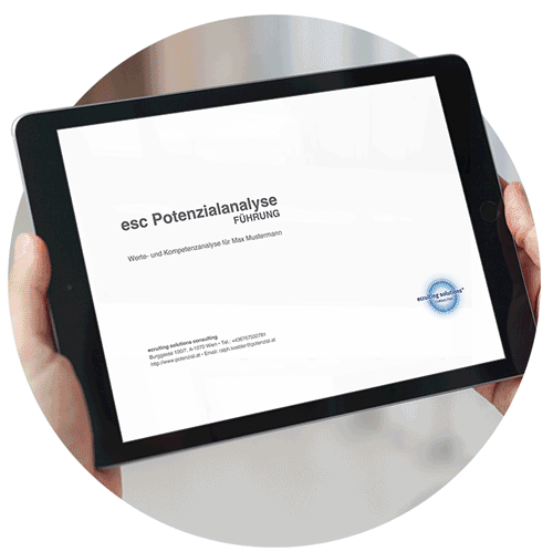 esc Profile Analysis Process - Interactive Assessment Visualization